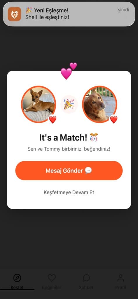 Patili Eşleşme Ekranı